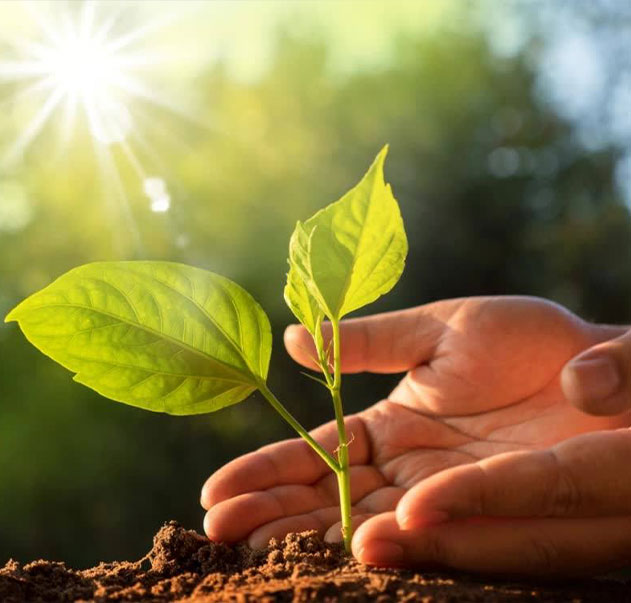 Jiangsu Shixin Adesive Tape Products Co., Ltd.