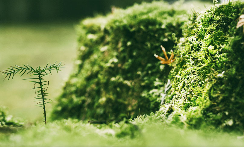 Jiangsu Shixin Adesive Tape Products Co., Ltd.